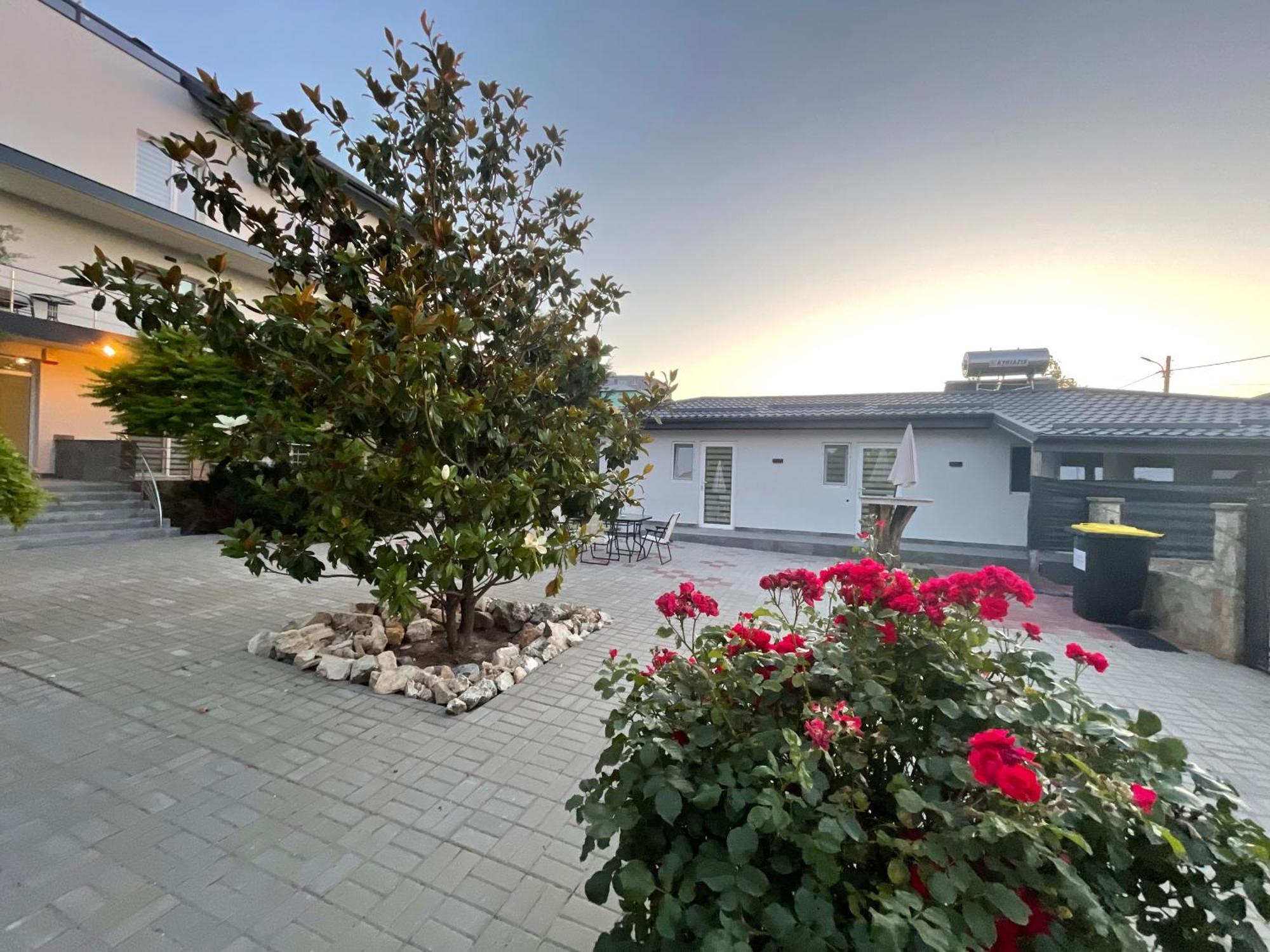 Dekor Hotel Costinesti Eksteriør billede